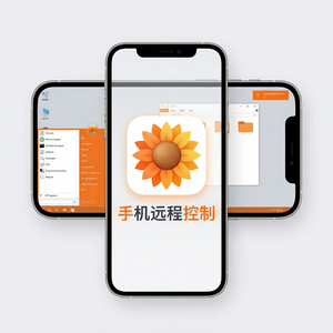 品牌 - 向日葵远程控制软件代码安全审计介绍